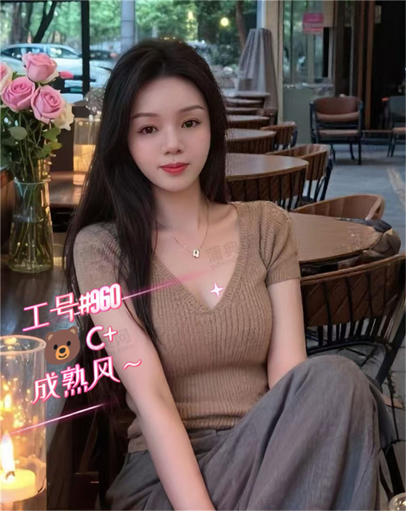 巨仕960