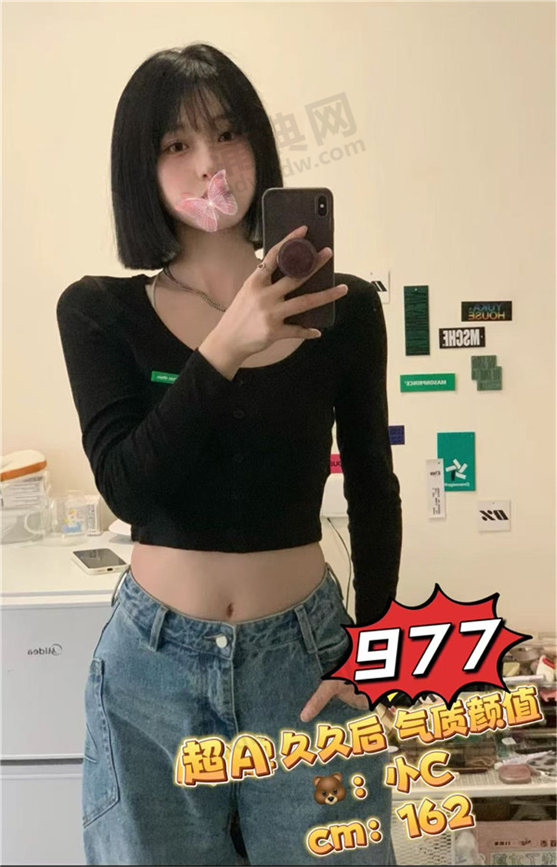 ZL977